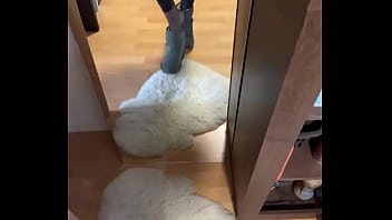 Good morning i wish you a nice week #feet #fetisch #nylonfetısh #boots girl