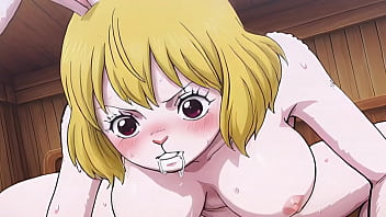 One piece carrot ai