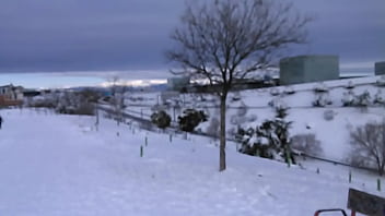 Meneandomela en la nieve