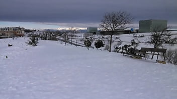 Meneandomela en la nieve