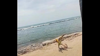 Vídeo de verificación