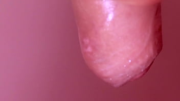 Japanese porn story baseball fan