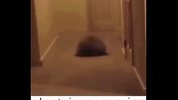 E l e c t r i c a v e n u e j p e g