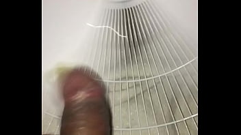 Sex with fan