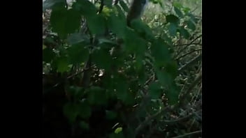 Doggystyle in the wood