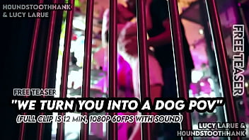 We turn you into a dog pov