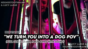 We turn you into a dog pov