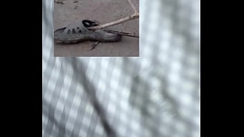 Great fun sex of two lovers