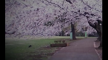 Gacha heat school trailer