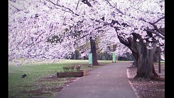 Gacha heat school trailer