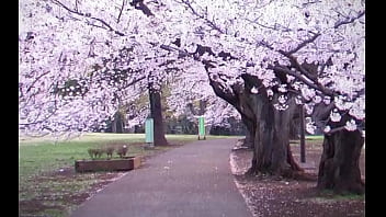 Gacha heat school trailer