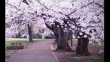 Gacha heat school trailer