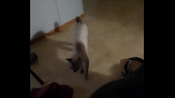 Wife gets a creampie from a stranger