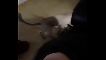 Wife gets a creampie from a stranger