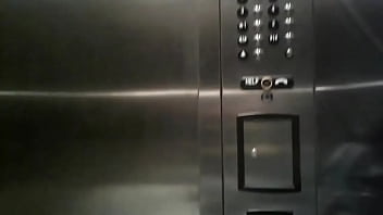 Natty Daddy Crosses America thumbnail