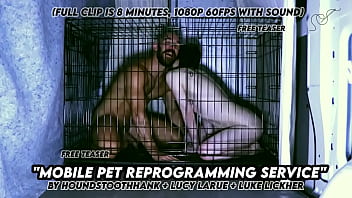 Mobile pet reprogramming service