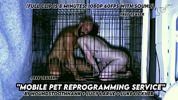 Mobile pet reprogramming service