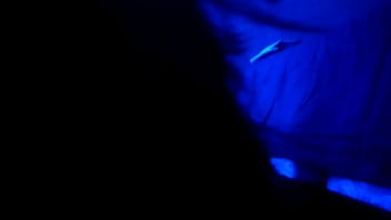 Blue light bj