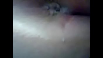 251581682 31771 31046354311 2313507 1