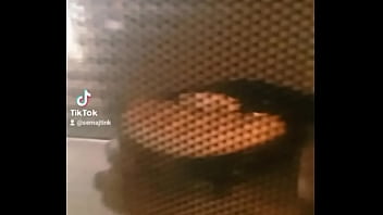 Life and sex in united states eniglish