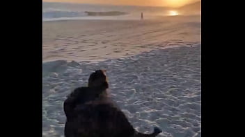 Aani rocha dançandoo