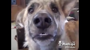 Filmes jogador no 1 online