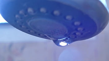 Teacher's pet the plumber