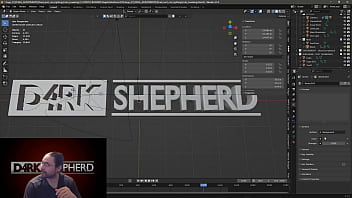 Walkthrough For Stage 3 Part 5 Of D4rkshepherd Introduction Animation thumbnail