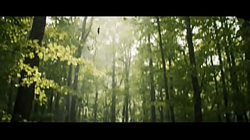 Guy fall in paradise