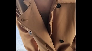 Shanaxcam update #17 dec 31 2021