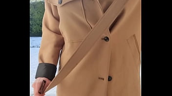 Shanaxcam update #17 dec 31 2021