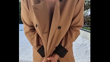 Shanaxcam update #17 dec 31 2021