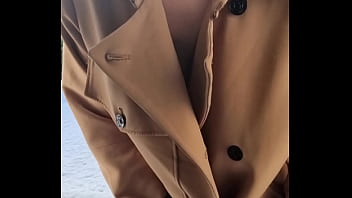 Shanaxcam update #17 dec 31 2021