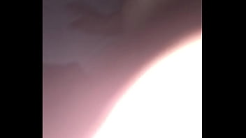 Euroasian starts night