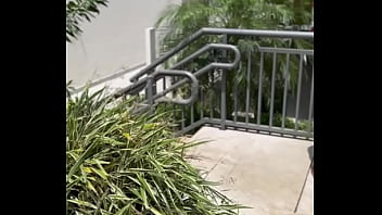 Negao dotado do meu predio me fudeo no pelo