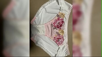 Panty used