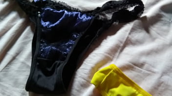 Calcinhas da minha coroa puta