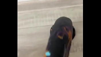 Deep fantasy unlocked incredible design powerful stimulation & top tier quality all in all this is a fantasy t