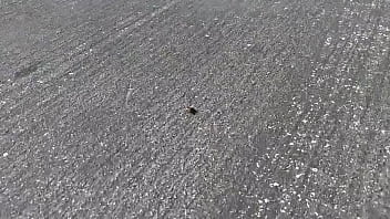 Video of me finding a beehive and not getting bit