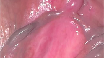 Yukimori & nanami's fun sex diary