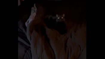 Trying to give goblin a new toy