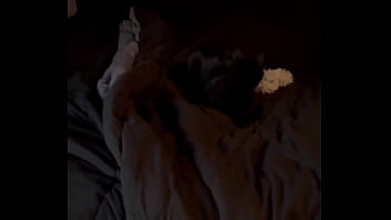 Trying to give goblin a new toy