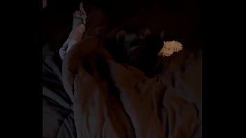 Trying to give goblin a new toy