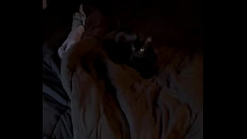 Trying to give goblin a new toy