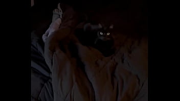 Trying to give goblin a new toy