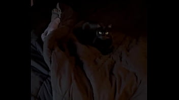 Trying to give goblin a new toy