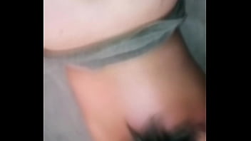 Culisabroxa thumbnail