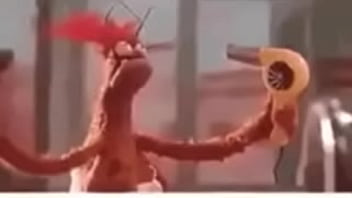 Vídeo de verificação