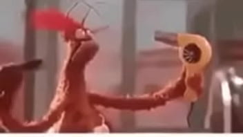 Vídeo de verificação