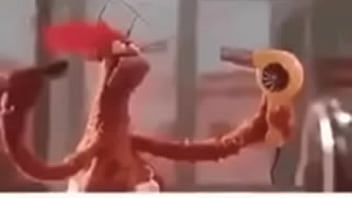 Vídeo de verificação